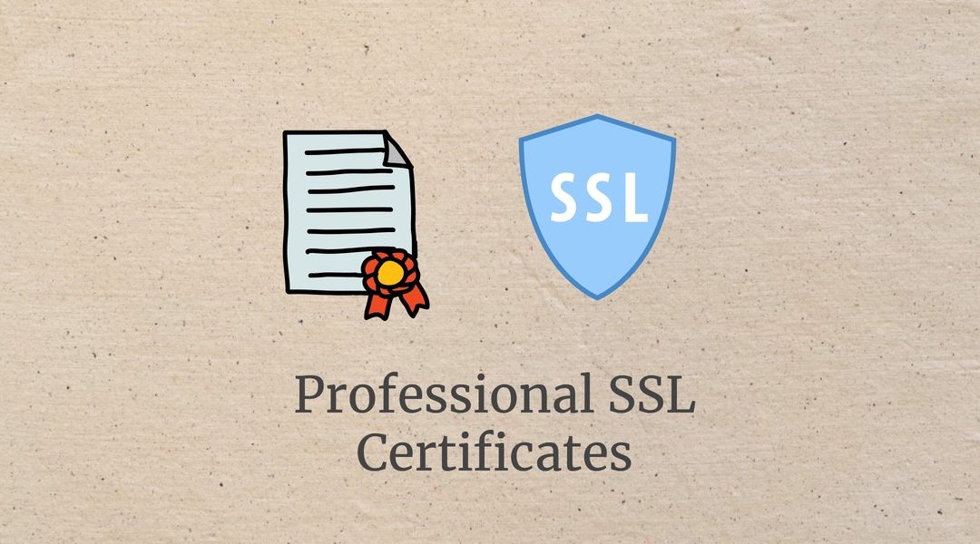 SSL Professional Certificates